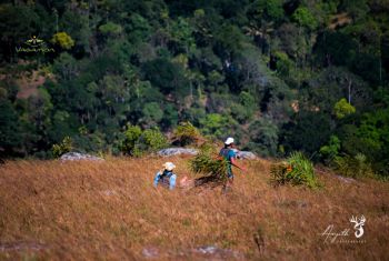 Vagamon ULtrail